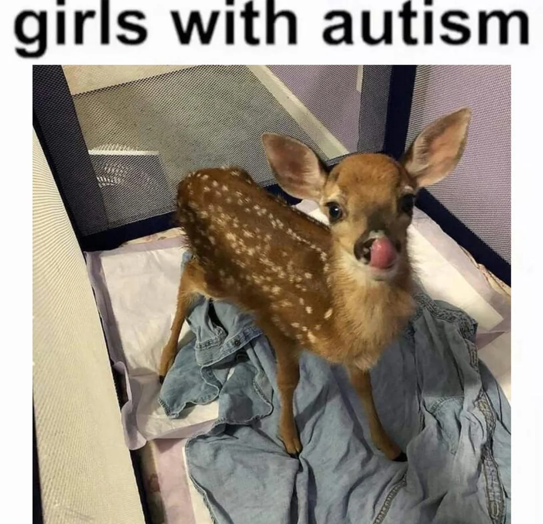oh dear